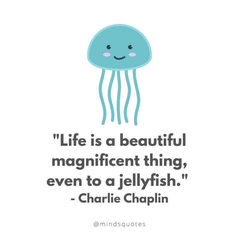 32 BEST World Jellyfish Day Quotes, Messages & Wishes 2 World Jellyfish Day Quotes