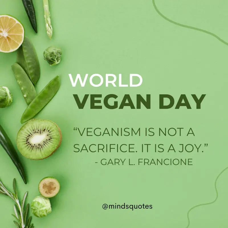 57 Famous World Vegan Day Quotes, Wishes & Messages 2 World Vegan Day Quotes