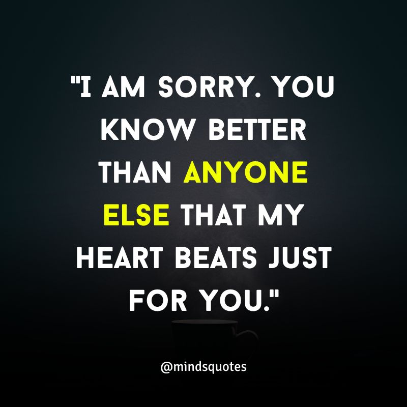 apology quotes for him