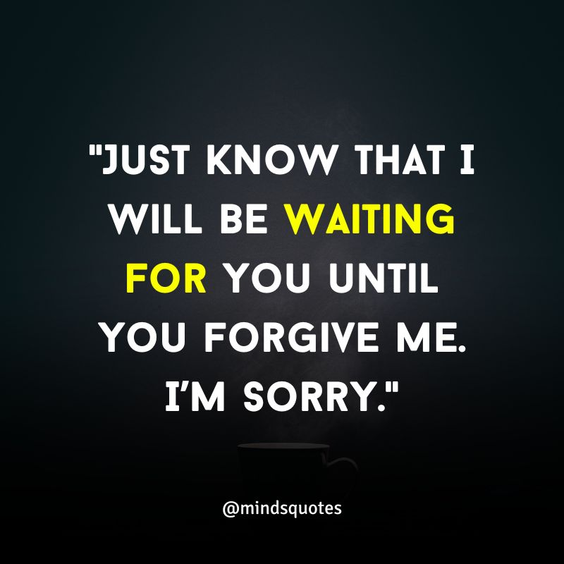 115+ BEST Apology Quotes That Will Inspire You To Say Sorry 27 apology quotes for him