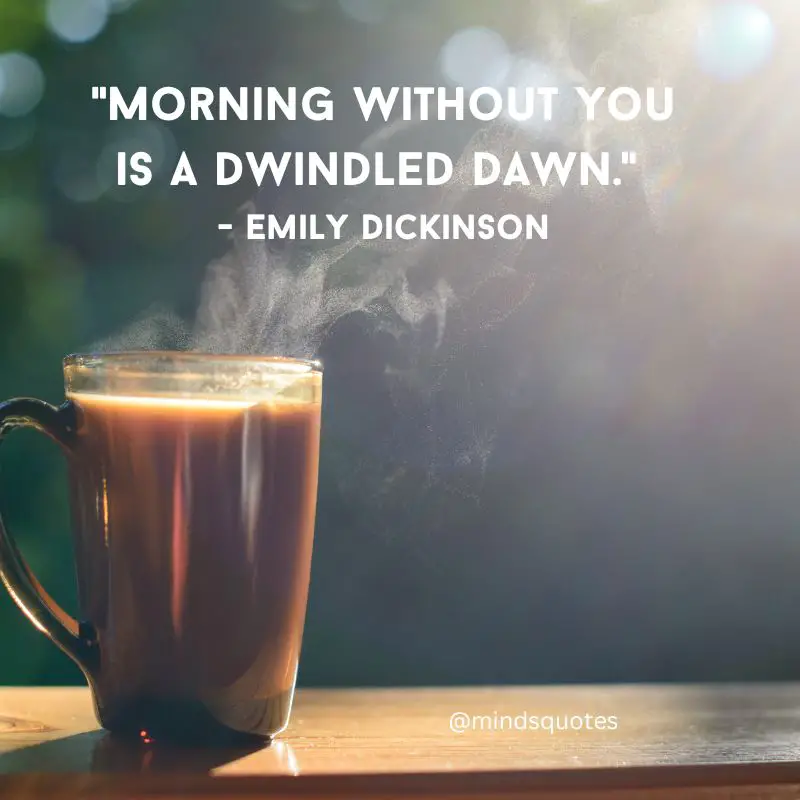 261+ BEST Good Morning Quotes for Inspire your Full day 4 beautiful good morning quotes - Emily Dickinson