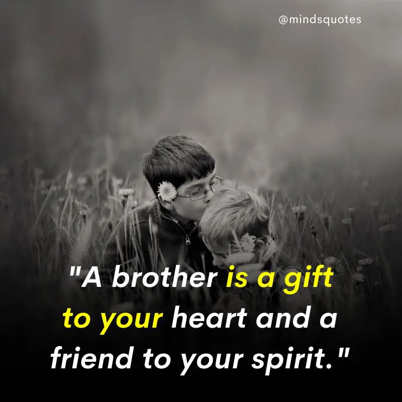 210 Best Brother Quotes A Bond Like No Other 10 brother quotes in english