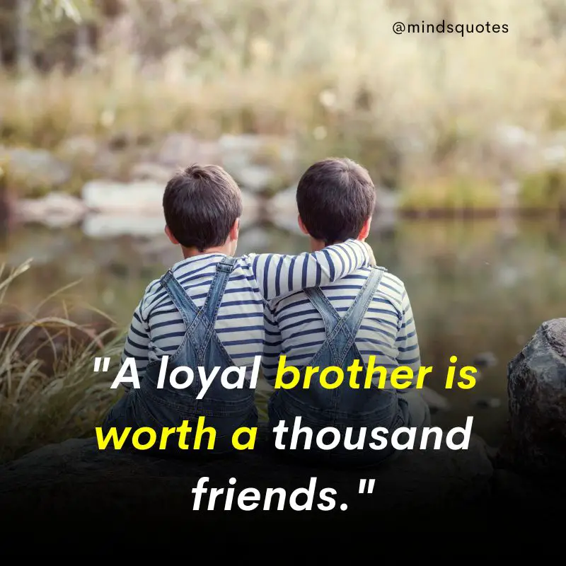 210 Best Brother Quotes A Bond Like No Other 7 brother quotes in english