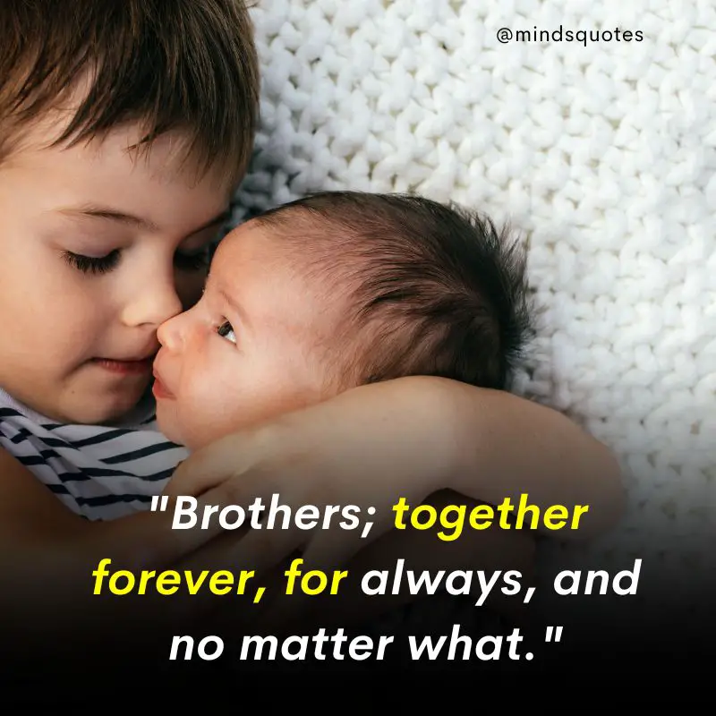 210 Best Brother Quotes A Bond Like No Other 23 brothers quotes