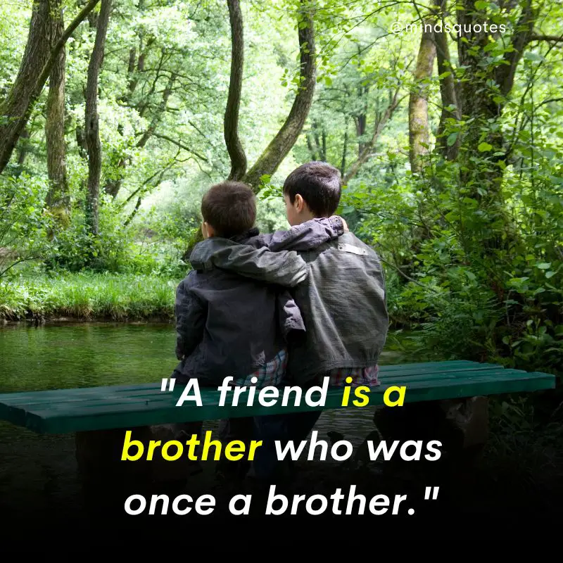 210 Best Brother Quotes A Bond Like No Other 19 brothers quotes
