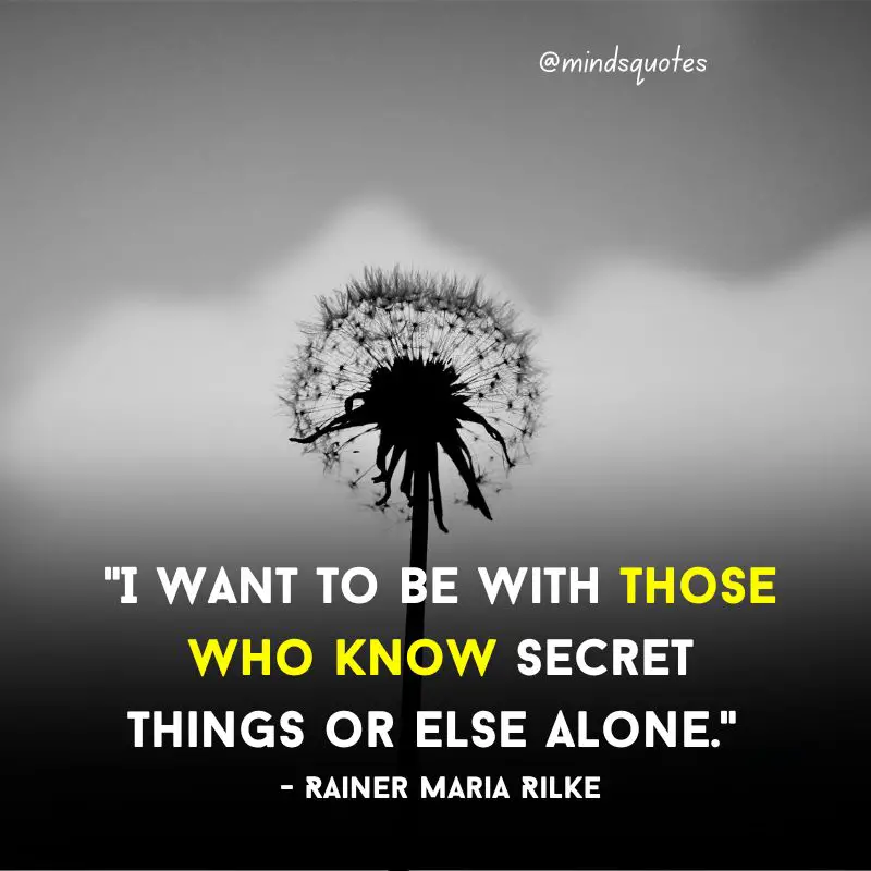 107 Famous Alone Quotes To Help You Feel Less Loneliness 17 feeling alone quotes