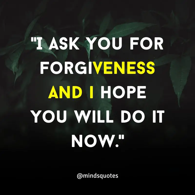 115+ BEST Apology Quotes That Will Inspire You To Say Sorry 5 forgiveness quotes