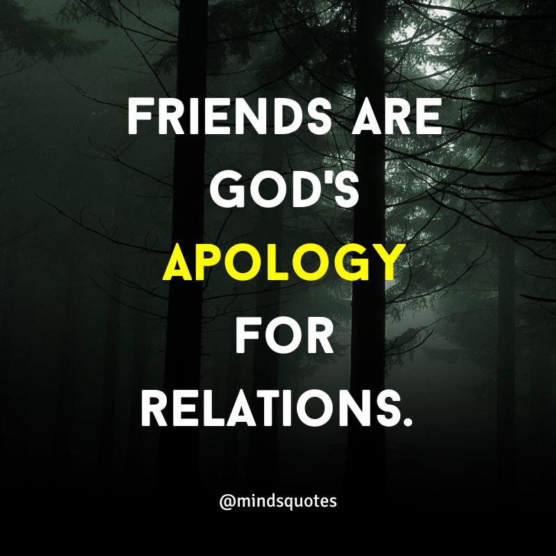 friendship apology quotes