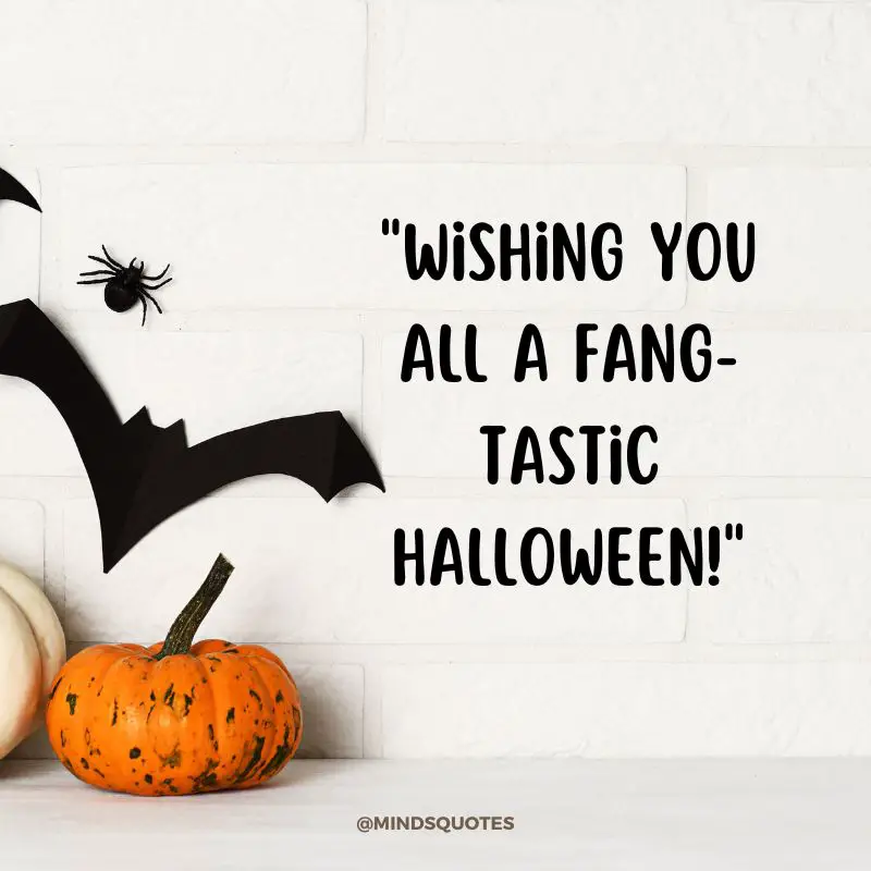 76 Most Captivating Halloween Quotes To Share This October 8 funny halloween quotes