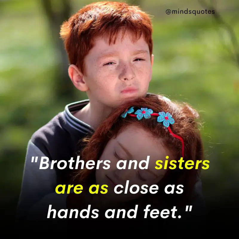 210 Best Brother Quotes A Bond Like No Other 4 heart touching brother & Sisiter quotes