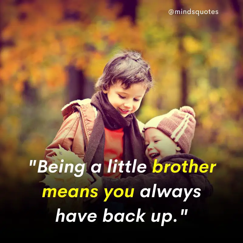 210 Best Brother Quotes A Bond Like No Other 12 little brother quotes