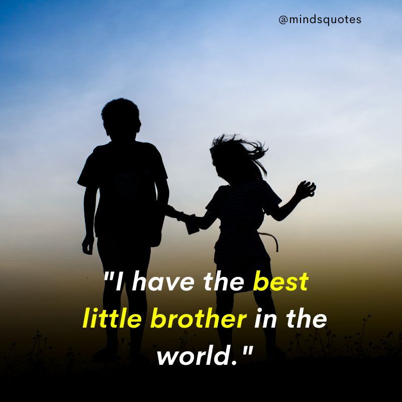 210 Best Brother Quotes A Bond Like No Other 25 special brother from another mother quotes