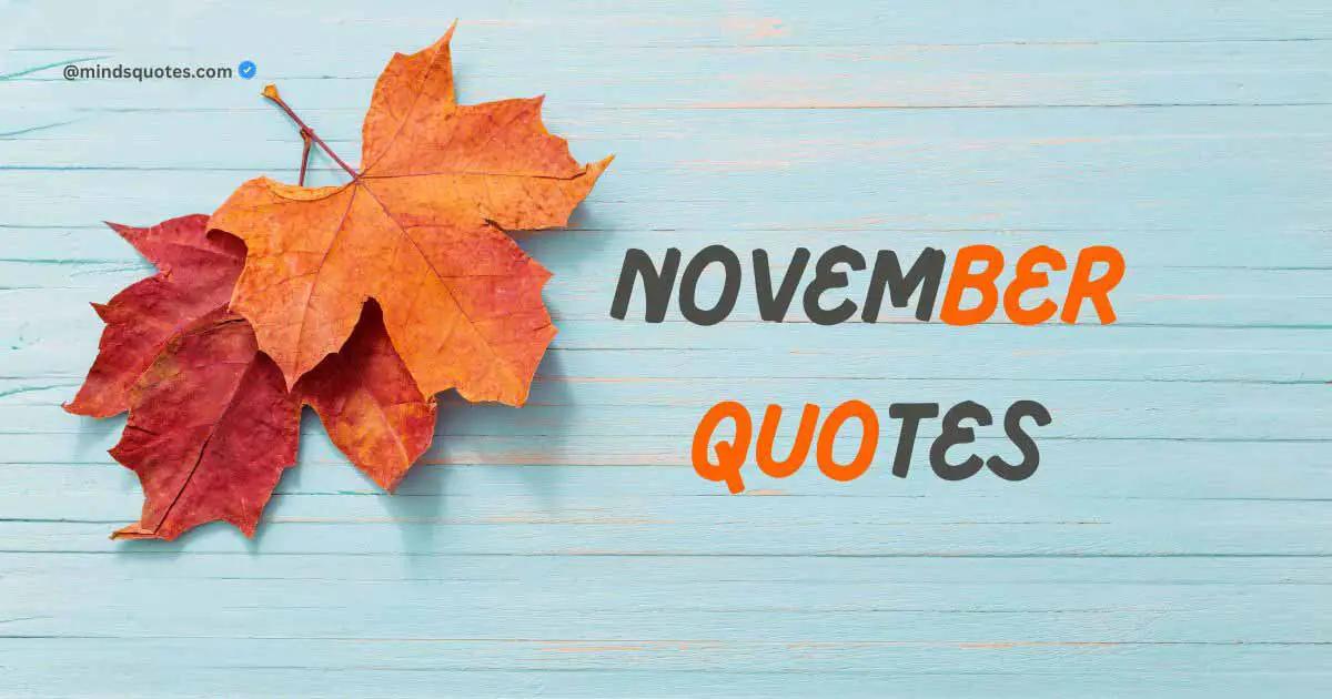 50 BEST November Quotes To Get You Through The Month