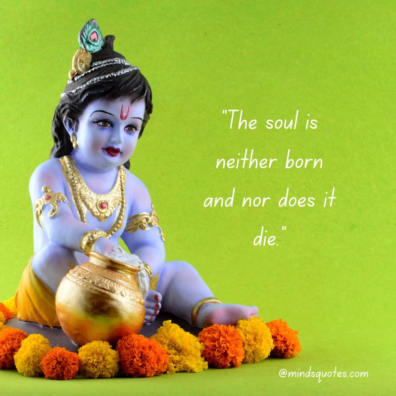 Happy Krishna Janmashtami Messages 