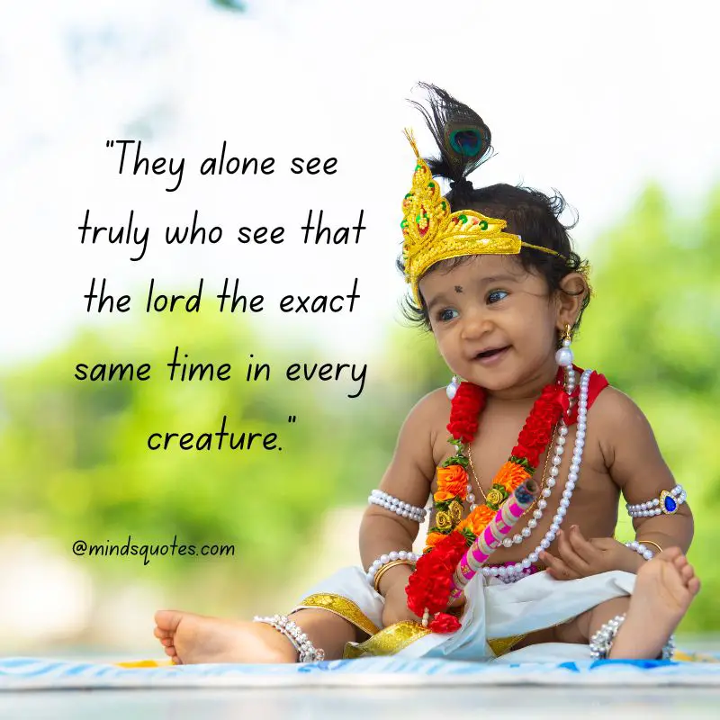 48 Happy Krishna Janmashtami Quotes, Wishes, and Messages 3 Happy Krishna Janmashtami Messages