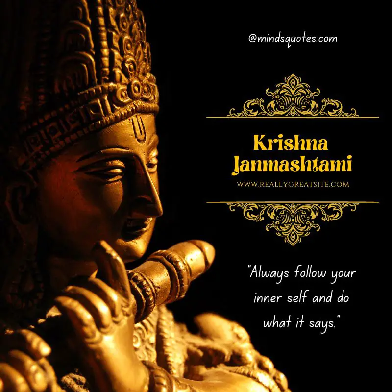 48 Happy Krishna Janmashtami Quotes, Wishes, and Messages 4 Happy Krishna Janmashtami Messages