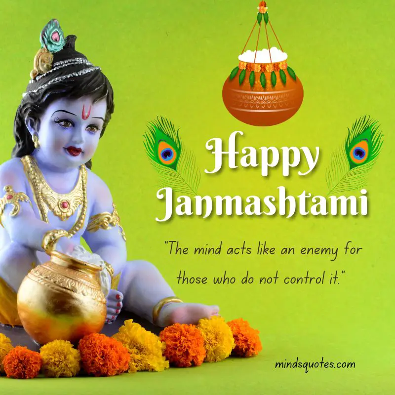 48 Happy Krishna Janmashtami Quotes, Wishes, and Messages 11 Happy Krishna Janmashtami Quotes