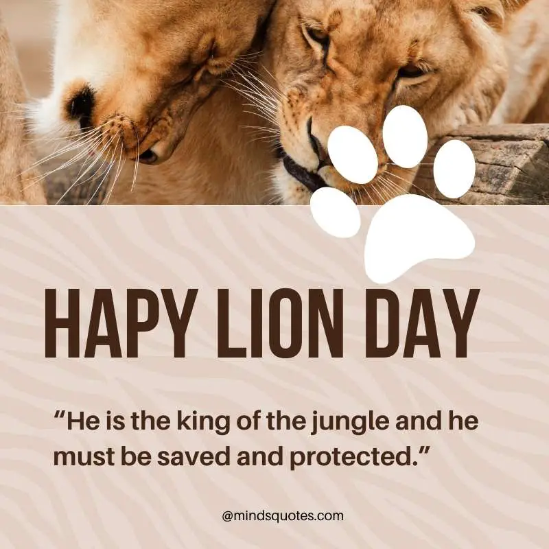 55+ Famous National Lion Day Quotes, Wishes & Messages 3 Happy Lion Day Slogan Quotes