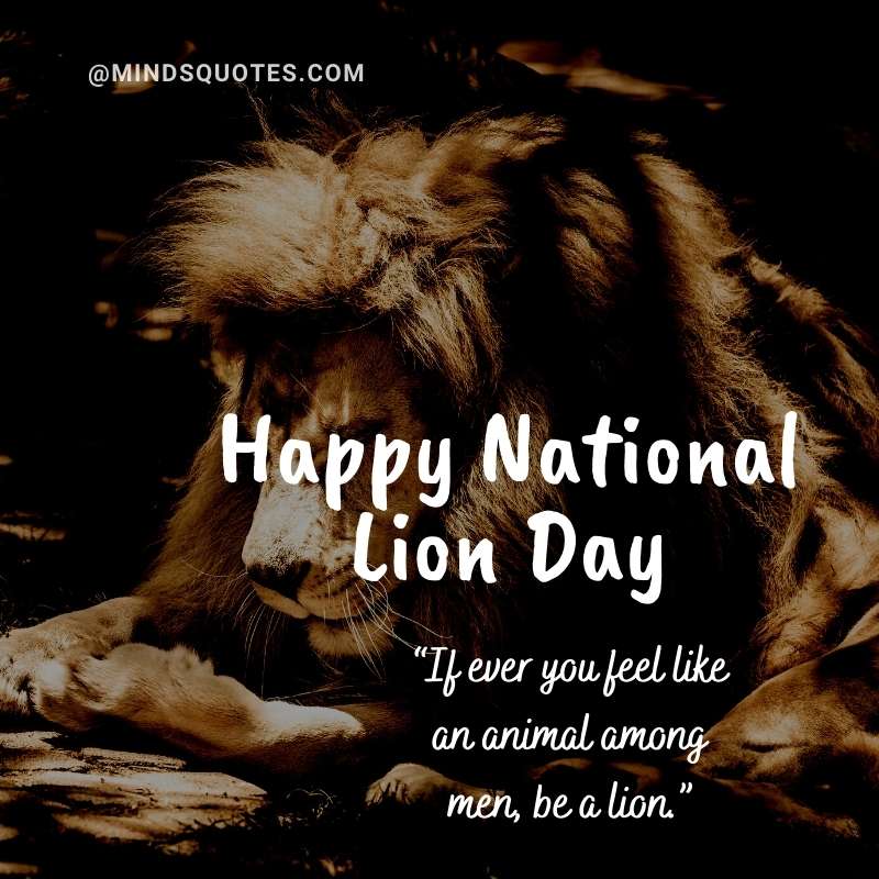 Happy National Lion Day Message