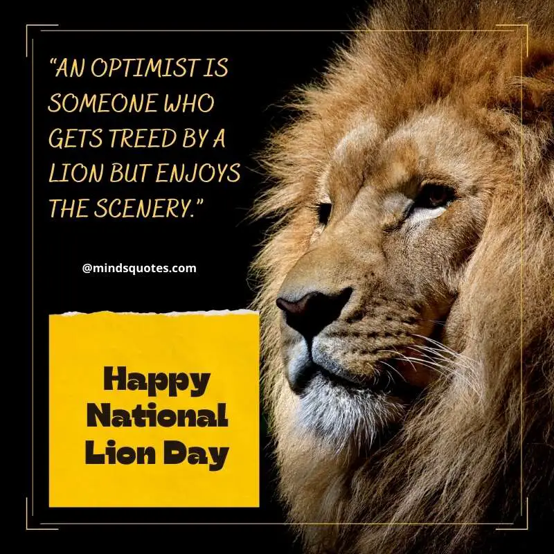 55+ Famous National Lion Day Quotes, Wishes & Messages 5 Happy National Lion Day Quotes