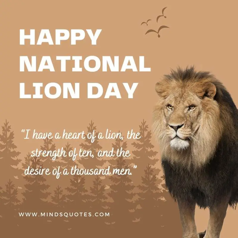 55+ Famous National Lion Day Quotes, Wishes & Messages 7 Happy National Lion Day Wishes