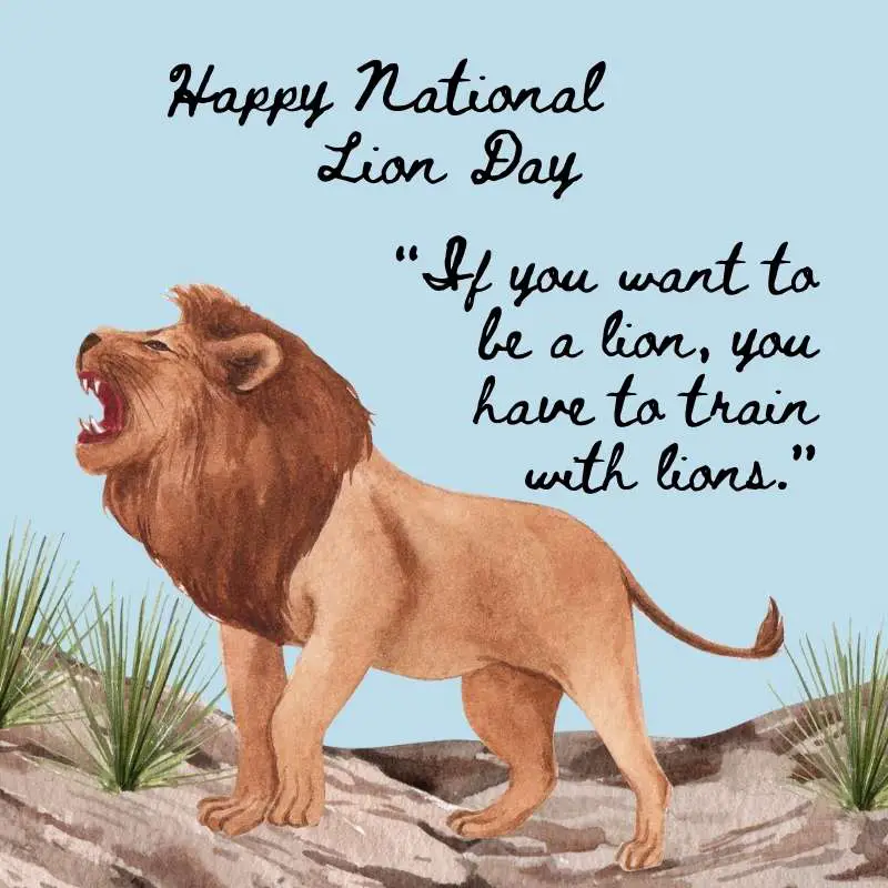 55+ Famous National Lion Day Quotes, Wishes & Messages 8 Happy National Lion Day Wishes