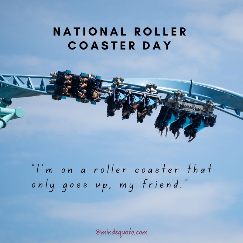 Happy National Roller Coaster Day Quotes 