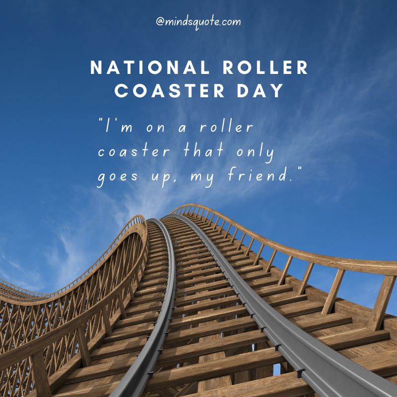 Happy National Roller Coaster Day Quotes