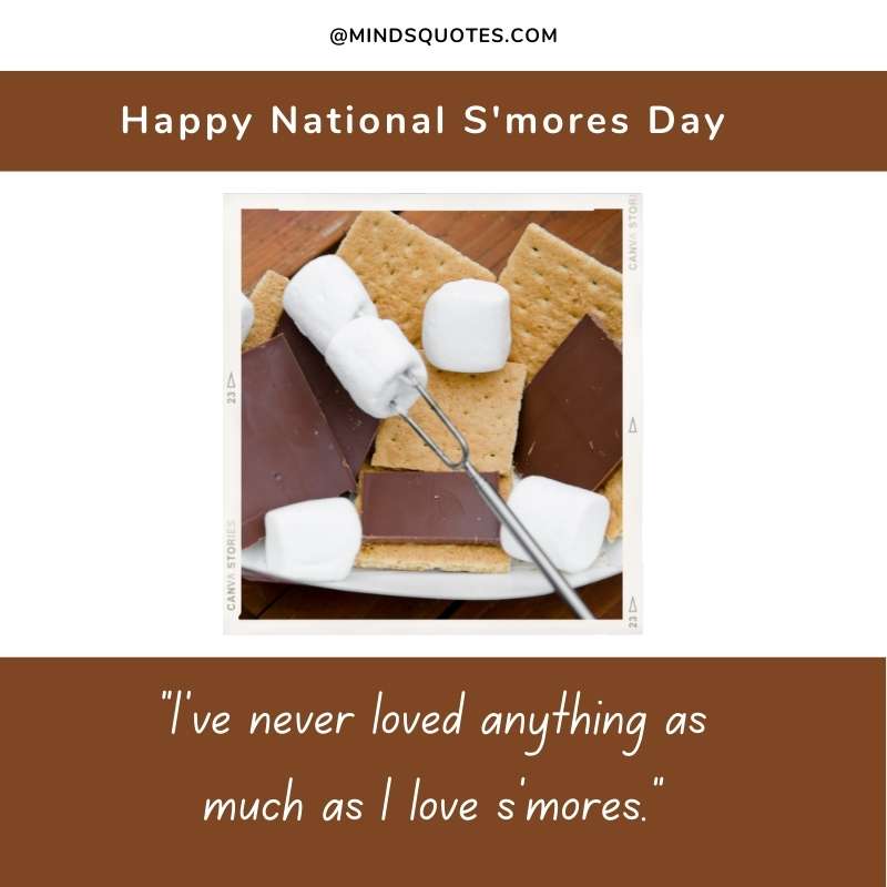 58+ BEST National S'mores Day Quotes, Wishes & Messages 3 Happy National S'mores Day Captions