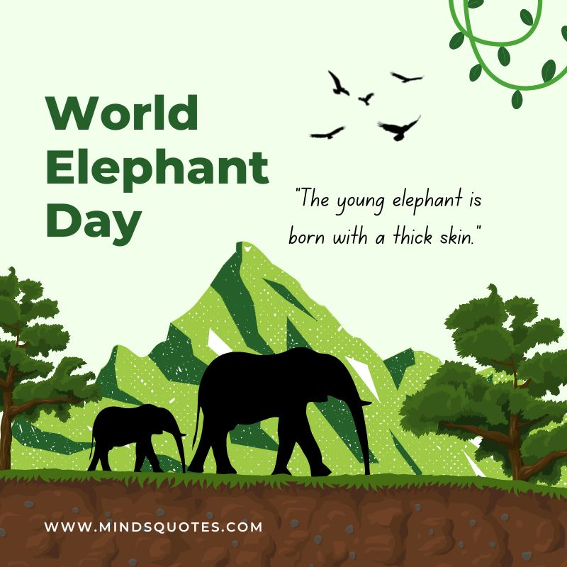 Happy World Elephant Day Message
