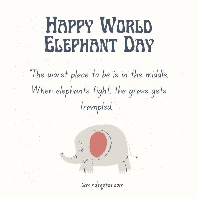 45 + Famous World Elephant Day Quotes, Wishes & Messages 8 Happy World Elephant Day Quotes