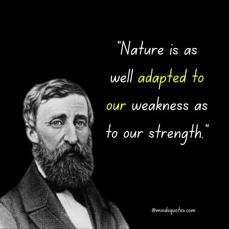 The 73 BEST Henry David Thoreau Quotes To Inspire You 9 Henry David Thoreau Quotes About Nature