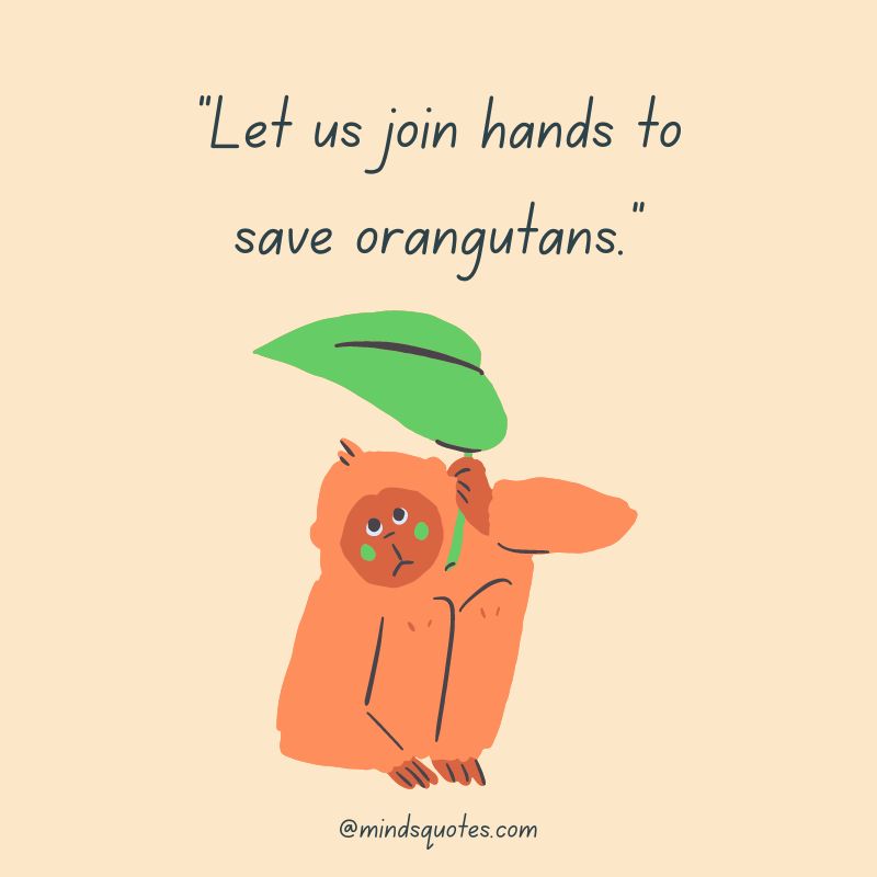 29+ International Orangutan Day Quotes, Wishes & Messages 2 International Orangutan Day Messages