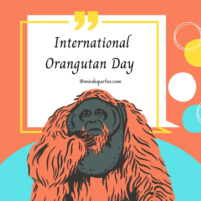 29+ International Orangutan Day Quotes, Wishes & Messages 5 International Orangutan Day Poster