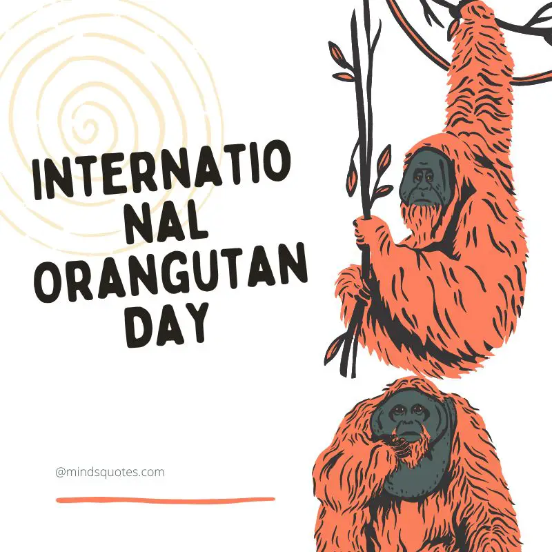29+ International Orangutan Day Quotes, Wishes & Messages 6 International Orangutan Day Poster