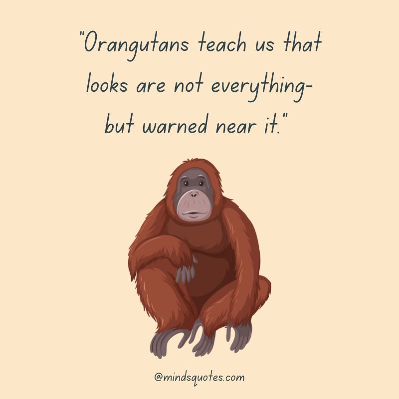 International Orangutan Day Quotes