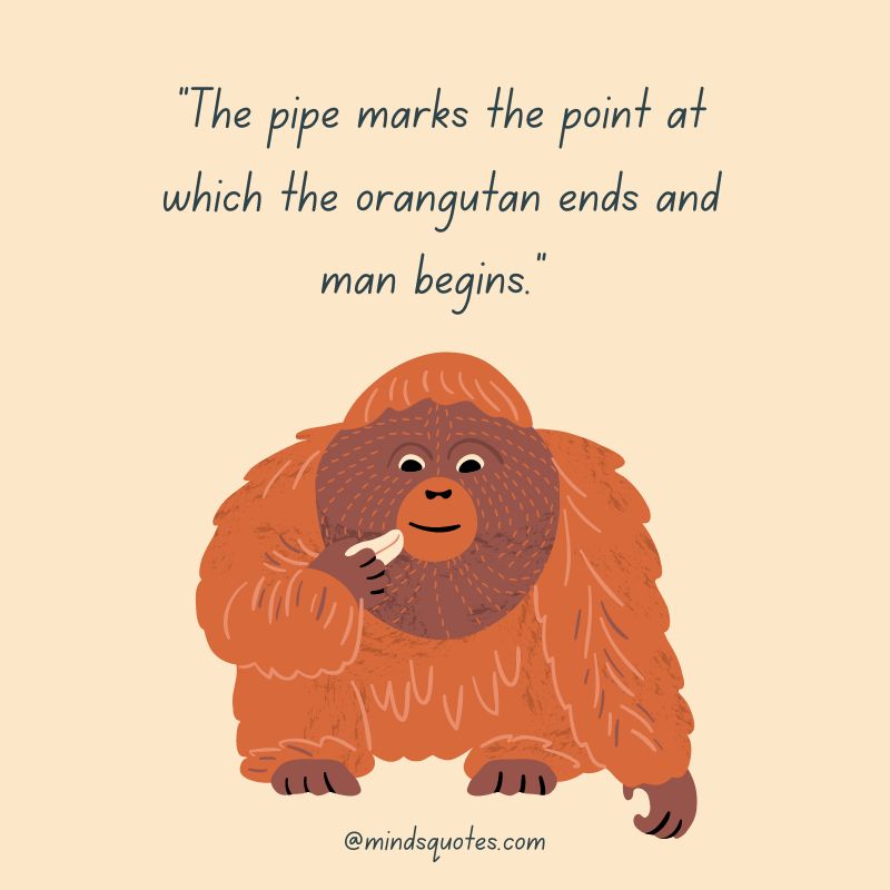 29+ International Orangutan Day Quotes, Wishes & Messages 8 International Orangutan Day Quotes