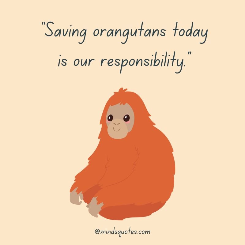 29+ International Orangutan Day Quotes, Wishes & Messages 10 International Orangutan Day Slogans