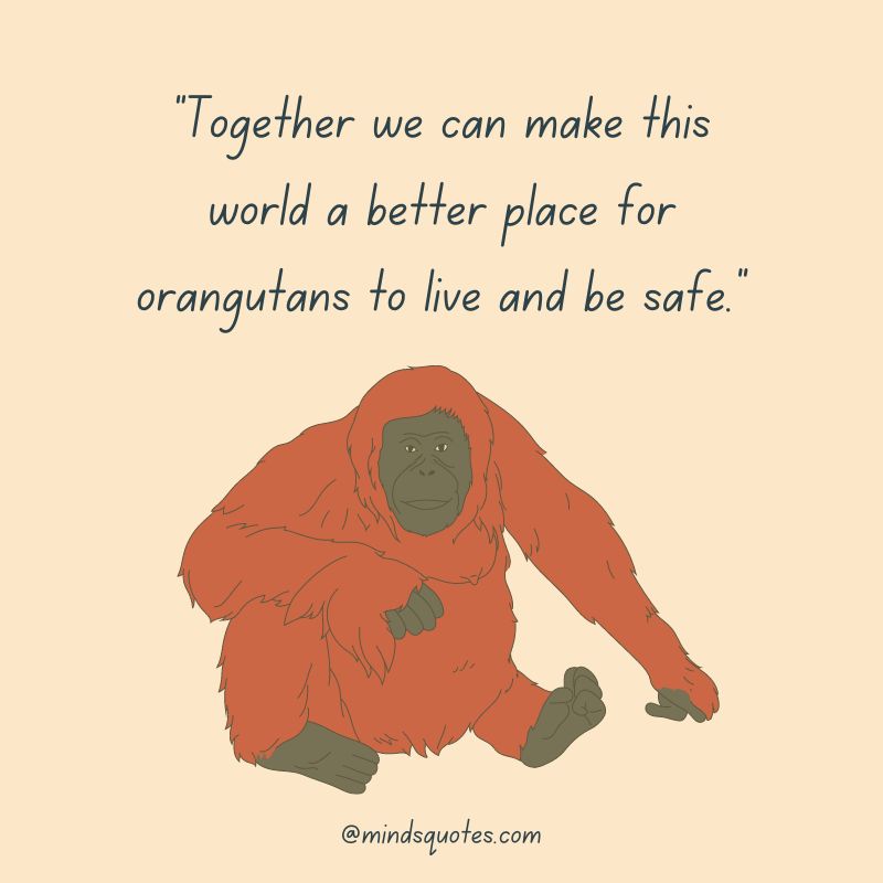29+ International Orangutan Day Quotes, Wishes & Messages 11 International Orangutan Day Wishes