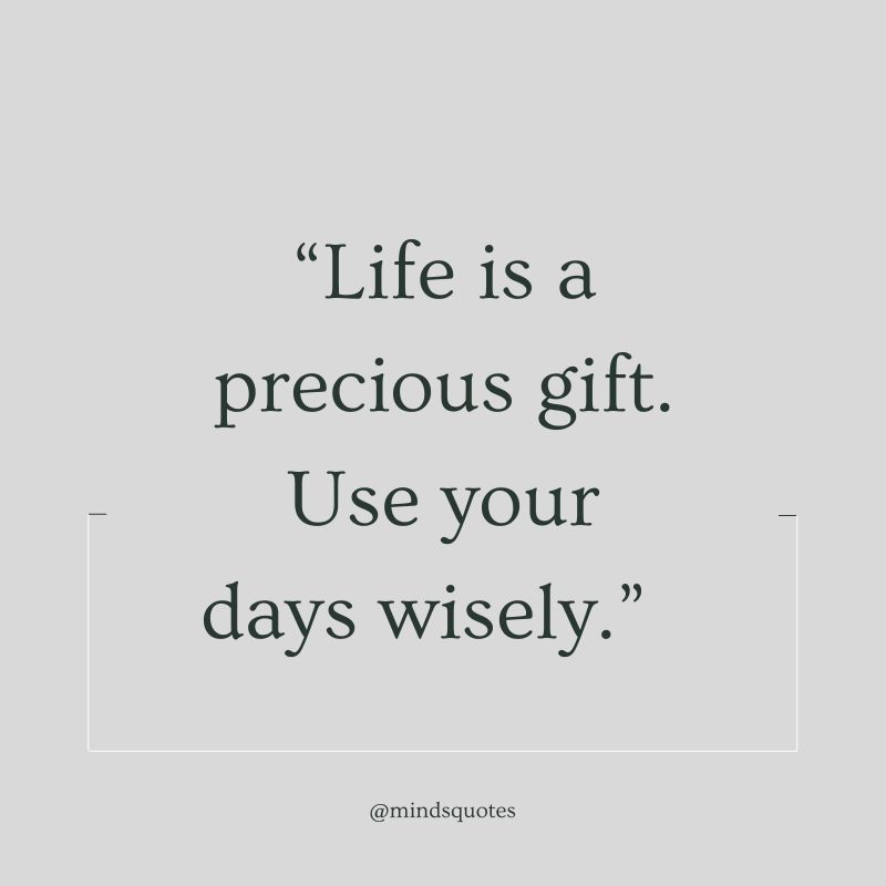 50 Famous Life is Precious Quotes That Will Touch Your Heart 10 Life is Precious Quotes