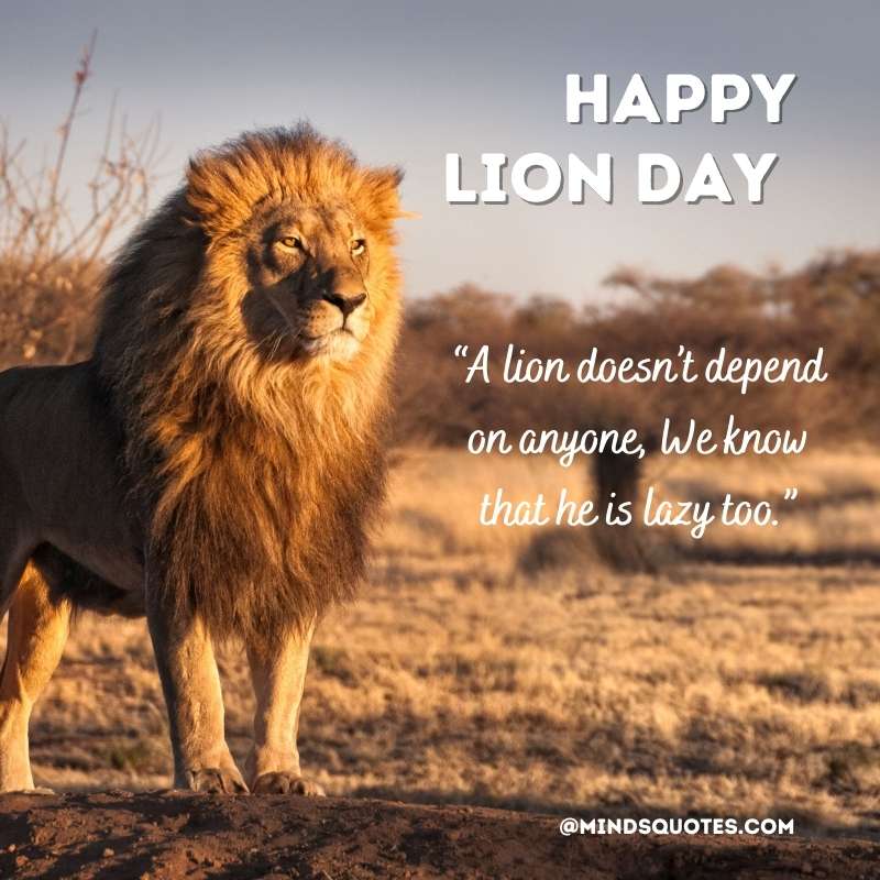 Lion Day Slogan Quotes 