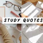 50 Most Popular Study Quotes To Help You Ace Your Finals