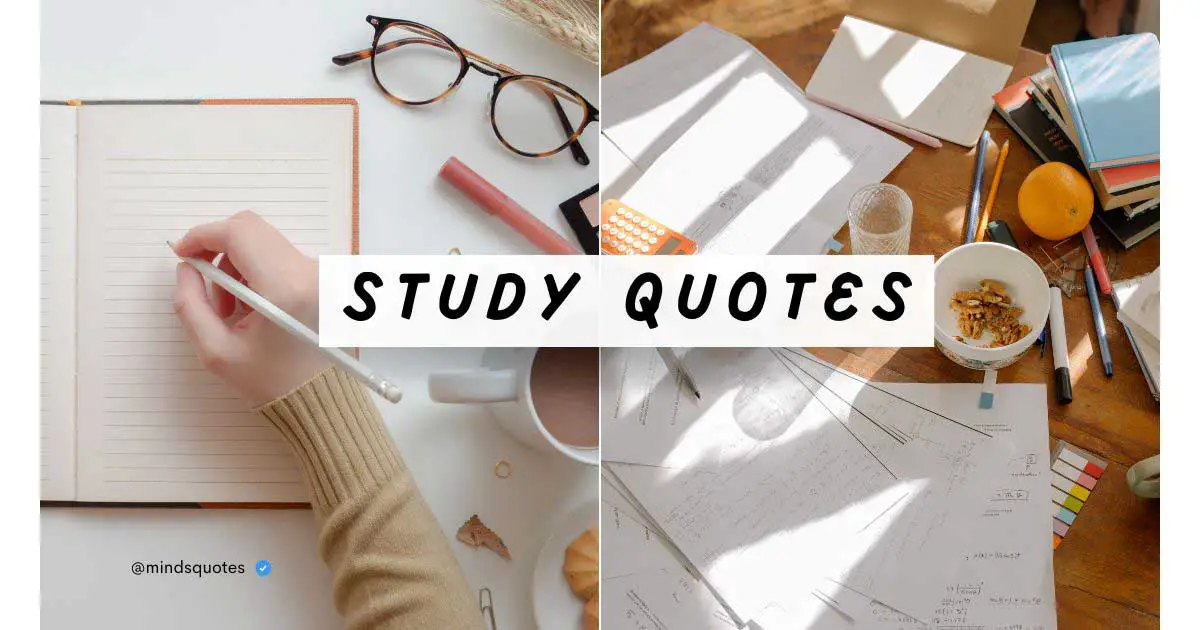 50+ Most Popular Study Quotes To Help You Ace Your Finals