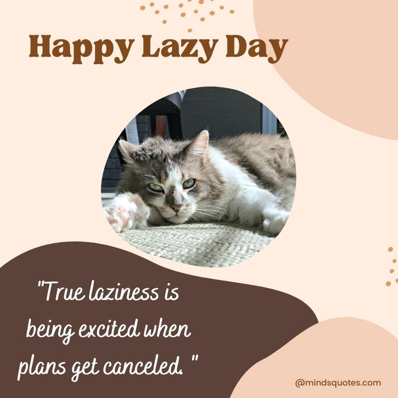 National Lazy Day Wishes