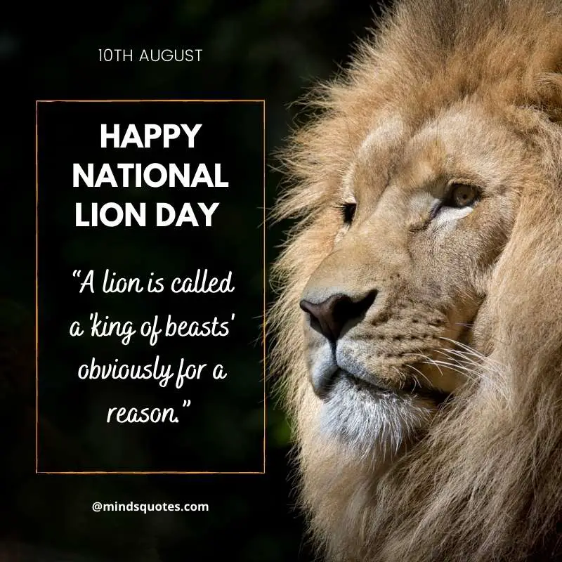 55+ Famous National Lion Day Quotes, Wishes & Messages 11 National Lion Day Quotes