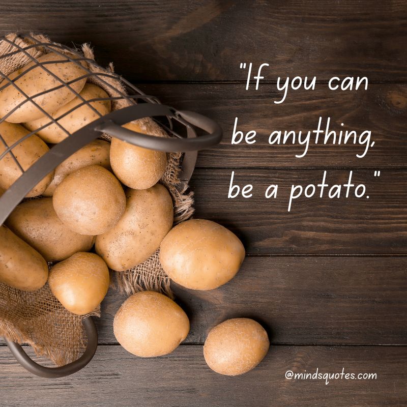 National Potato Day Quotes