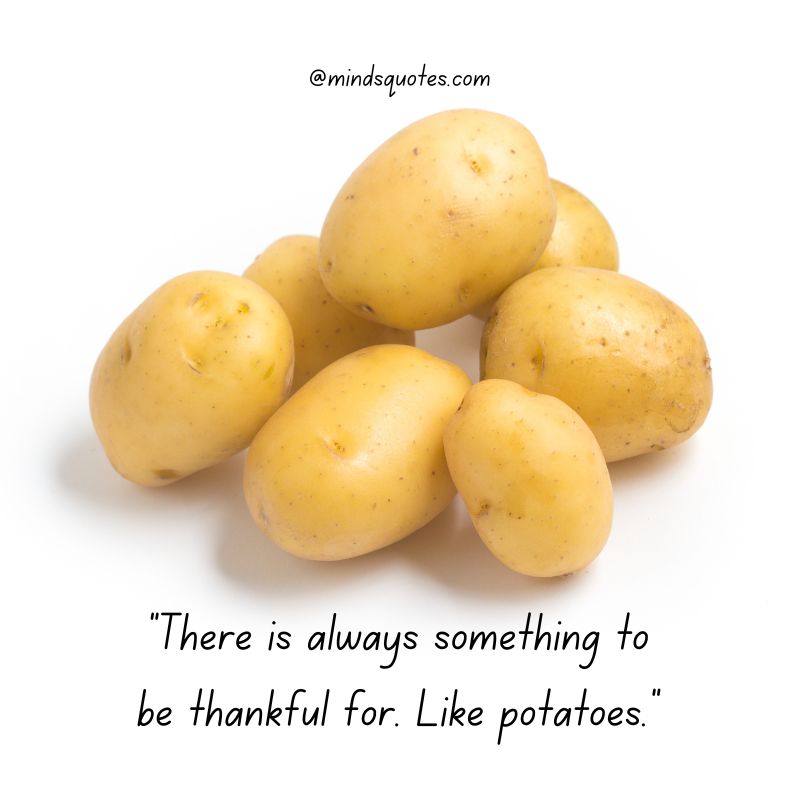 54+ Famous National Potato Day Quotes, Wishes & Messages 17 National Potato Day Wishes