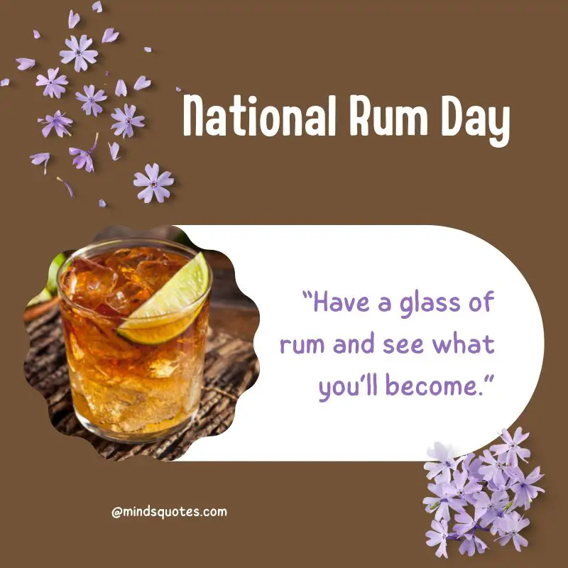 38+ Famous National Rum Day Quotes, Wishes & Messages 3 National Rum Day Message