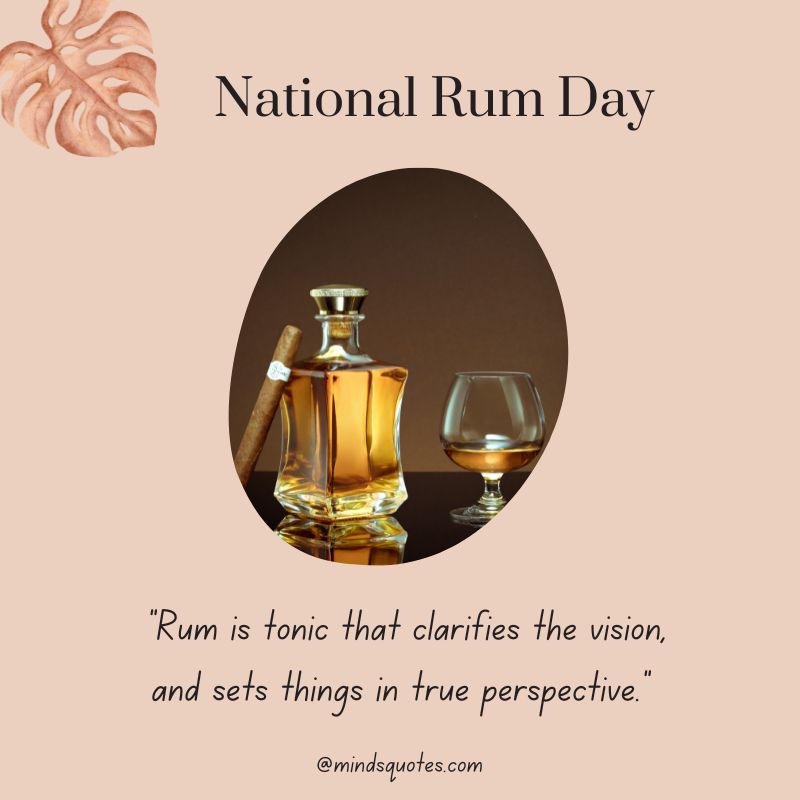 38+ Famous National Rum Day Quotes, Wishes & Messages 10 National Rum Day Quotes