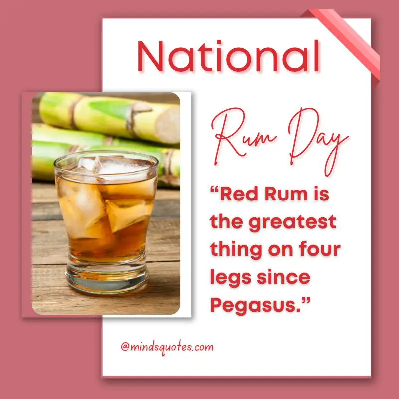38+ Famous National Rum Day Quotes, Wishes & Messages 13 National Rum Day Quotes